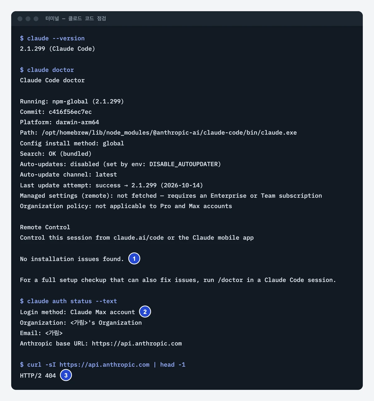 터미널에서 claude --version, claude doctor, claude auth status --text, curl -sI https://api.anthropic.com 을 차례로 실행한 화면. 설치 문제 없음, 로그인 방식 Claude Max 계정, HTTP/2 404 응답이 표시되고 이메일은 가려져 있다