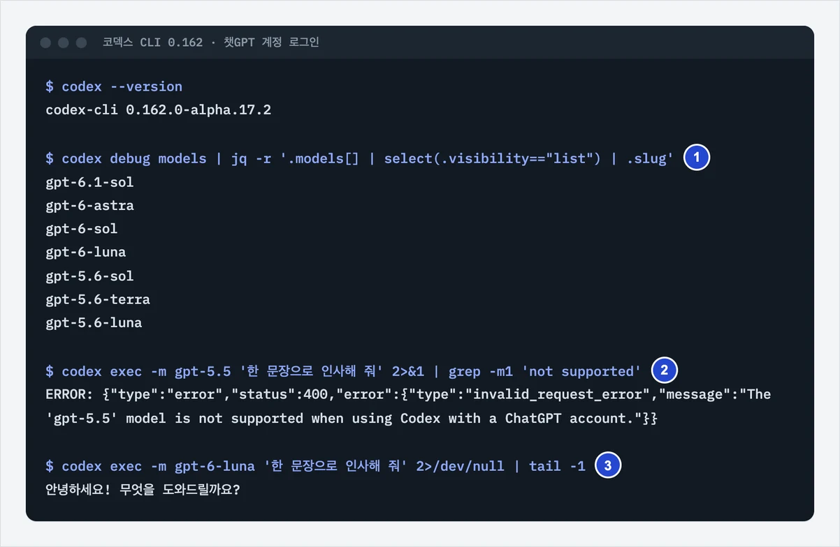 터미널 화면. 코덱스 모델 목록에 gpt-5.5가 없고, gpt-5.5로 실행하면 400 오류가 나며, gpt-6-luna로 실행하면 한국어 인사가 나온다