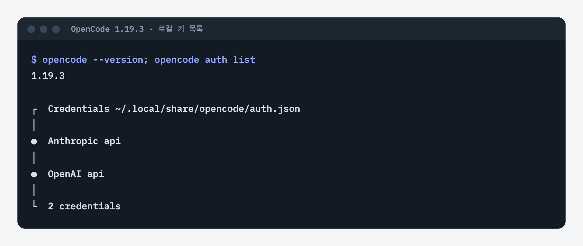 터미널에서 opencode auth list를 실행해 로컬 키 파일 경로와 Anthropic·OpenAI 두 개의 키가 나온 화면